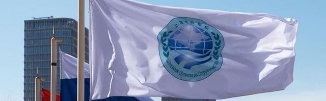 开云平台-不来华亏大了，中方邀多国元首一块吃饭，另一安排也让特朗普眼红