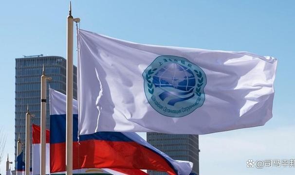 开云平台-不来华亏大了，中方邀多国元首一块吃饭，另一安排也让特朗普眼红