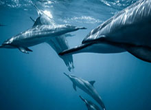 开云平台-开云体育：用云端科技点亮你的运动生活